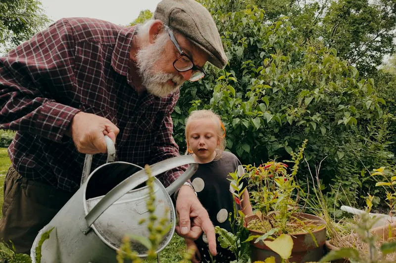 Stock photo of an older man and a young child watering plants with a metal watering can in a garden.